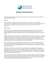 an environmental issue essay 