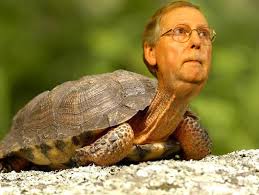 Mitch mcconnell is doing what? Senator Mcconnell Falls Breaks Flipper Dennis Wobber Humor Times