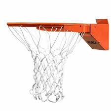 Forza Basketball Breakaway Hoop Net
