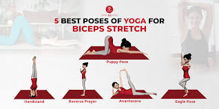 5 best poses of yoga for biceps stretch