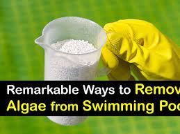 removing pool algae tricks for