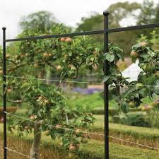 Durable nylon netting supports a robust crop of melons or squash Espalier Growing Frame Harrod Horticultural