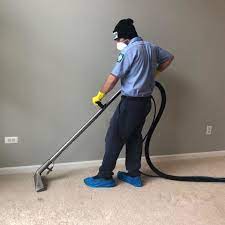 all natural carpet cleaning company