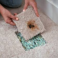 carpet repair services benchmark