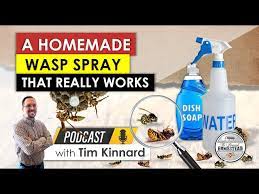 a homemade wasp spray that really works