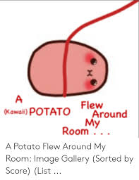 A potato flew around my room. 25 Best Memes About A Kawaii Potato A Kawaii Potato Memes