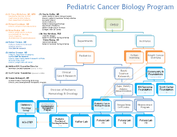 Pediatric Cancer Biology Program Organizational Structure