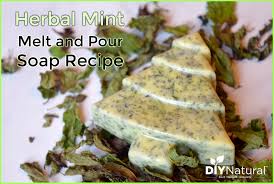 a simple diy herbal mint hand soap recipe