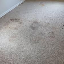 carpet cleaning in bowie md