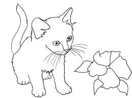 You can print or color them online at getdrawings.com for absolutely free. Printable Kitten Cat Coloring Pages Novocom Top