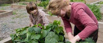 Gardening Courses Gardening For