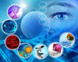 UK life sciences sector: do you have the Vision for innovation?