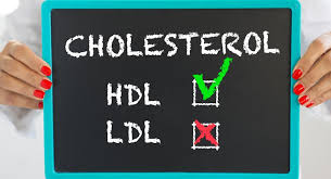 cholesterol the good the bad and the