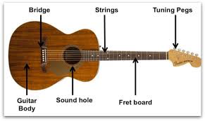 It differs from its elder acoustic sister in many points: Guitar Basics 10 Essential Tips For Beginners