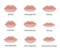 best lip shapes for your face