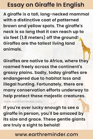 giraffe essay for kids in english