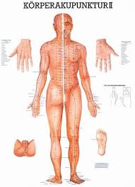 Body Acupuncture Ii Wall Chart German
