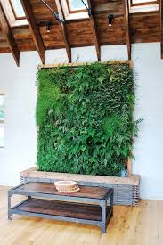 Vertical Garden Indoor