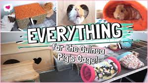cage accessories for guinea pigs