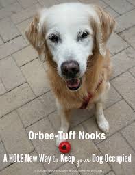 orbee tuff nooks a hole new way to
