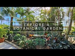 princeville botanical gardens in kaua i