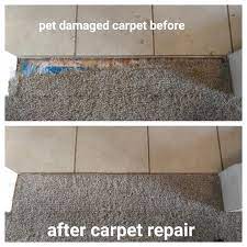 pet damaged carpet 310 736 2018