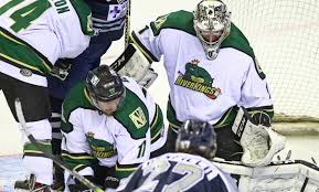 Mississippi Riverkings Hockey Game With T Shirt At Landers Center Up To 51 Off Five Games And Two Seating Options