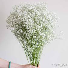 We have seen this flower used in many. Filler Flowers Add Volume To Your Diy Wedding Flowers Flower Moxie