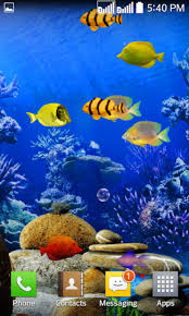 fishes live wallpaper 2021 aquarium
