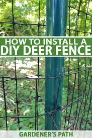 how to install a deer fence to keep