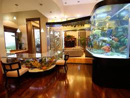 18 magnificent aquarium designs for your home - Livabl gambar png