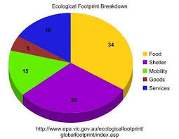 The Outcome My Ecological Footprint