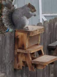 The Original Squirrel Nut House Feeder