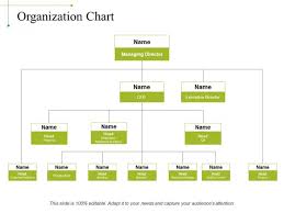 Organization Chart Ppt Powerpoint Presentation Outline