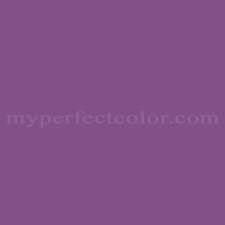 Dulux Purple Hyacinth Precisely Matched