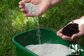 10 10 10 fertilizer guide uses and
