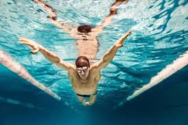 how swimming shapes your body san