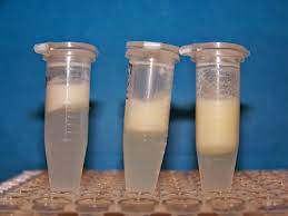 biomarkers milk swirled or shaken