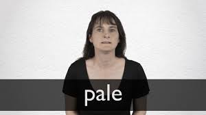 Pale definition and meaning | Collins English Dictionary