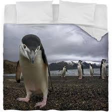 Penguin Comforters Duvets Sheets