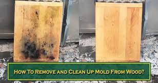 how to remove and clean up mold from wood