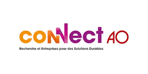 ATELIER D'INTELLIGENCE COLLECTIVE CONNECT AO