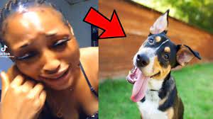 Dubaï Porta Potty : La jeune femme qui a était avec un chien est recherchée  activement par la police - YouTube