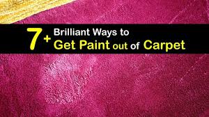 brilliant ways to get paint out of carpet