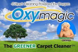 carpet cleaning in mooresville nc