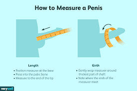 Is There an Age Limit for Penis Growth?