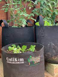 Grow Bags For Vegetable Gardening And