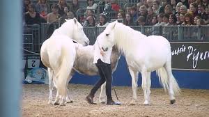 We have updated 22 verified coupons for you to catch huge savings. Jean Francois Pignon Olympia Horse Show 2019 Youtube