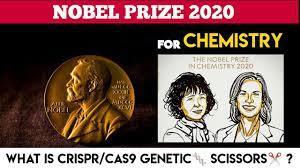 el prize in chemistry 2020 what is