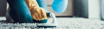 does professional carpet cleaning